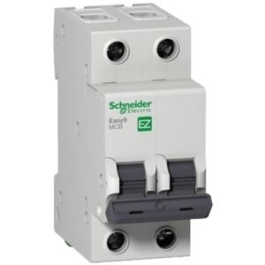 BREAKER RIEL EASY9 2X10A ICU 6 KA 230 V- SCHNEIDER EZ9F56210